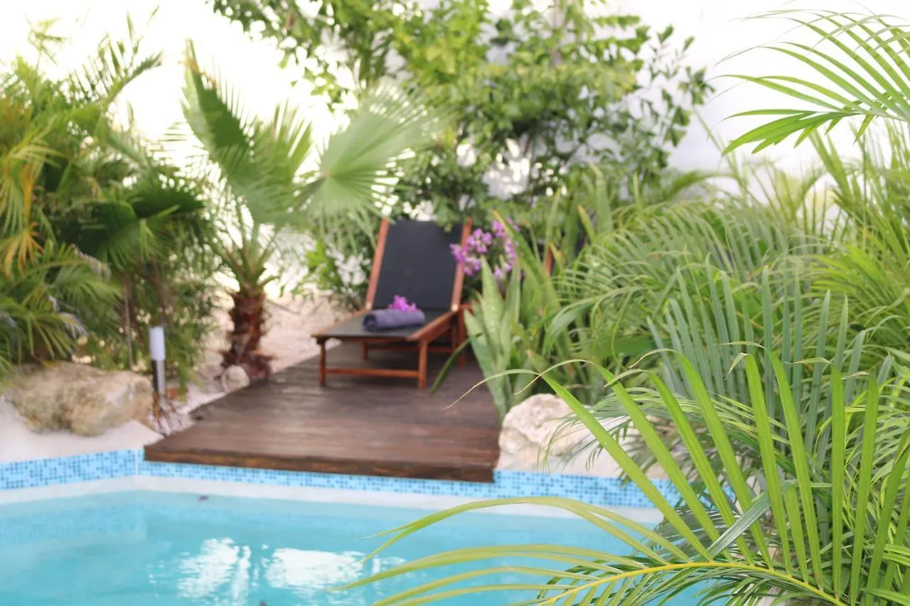 Apartment New House Tropic Paradise With Pool Willemstad