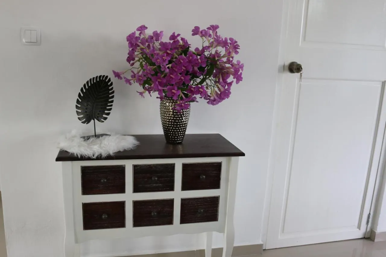 Apartment New House Tropic Paradise With Pool Willemstad